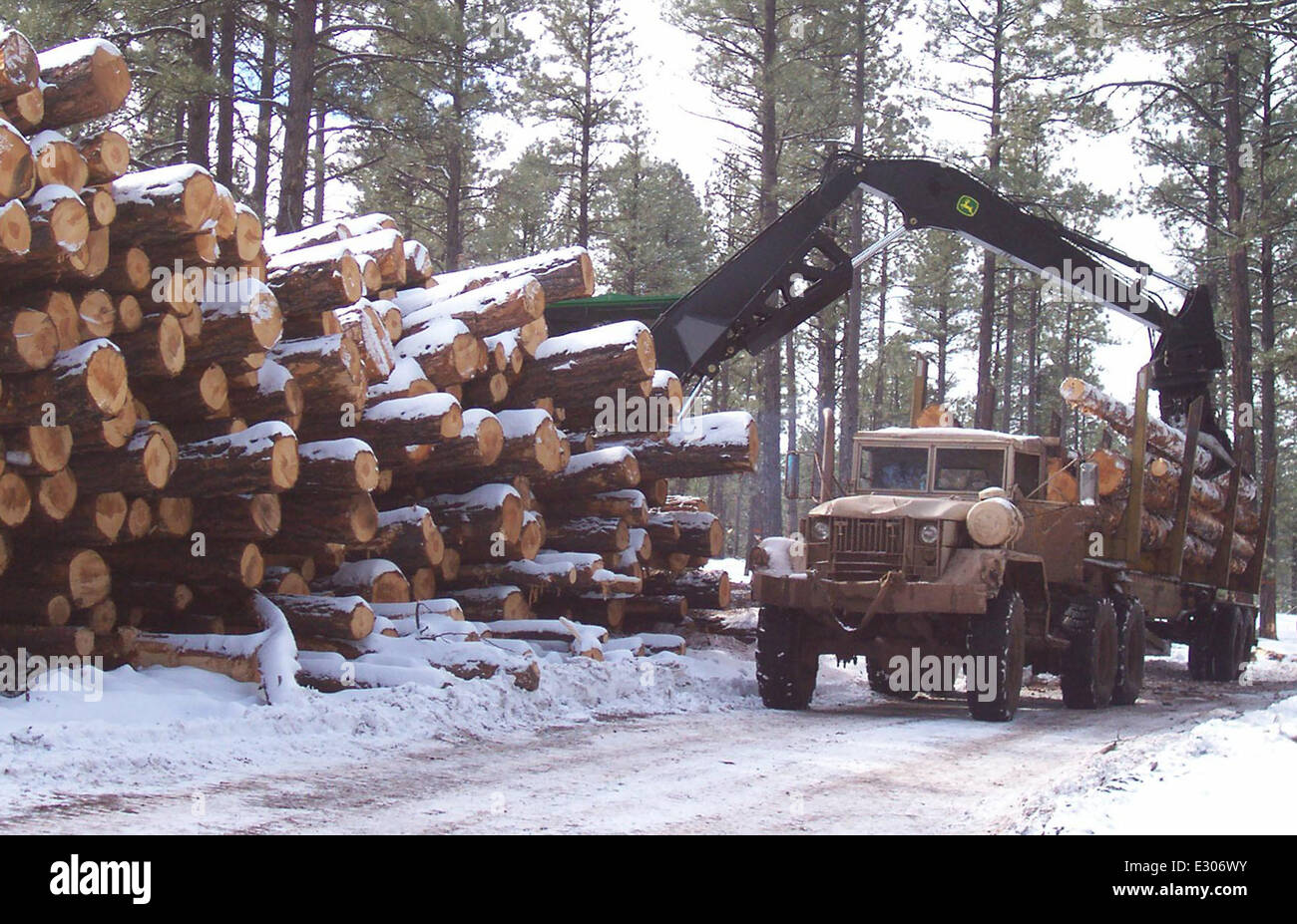 Horse Pine Stewardship Contract Stock Photo