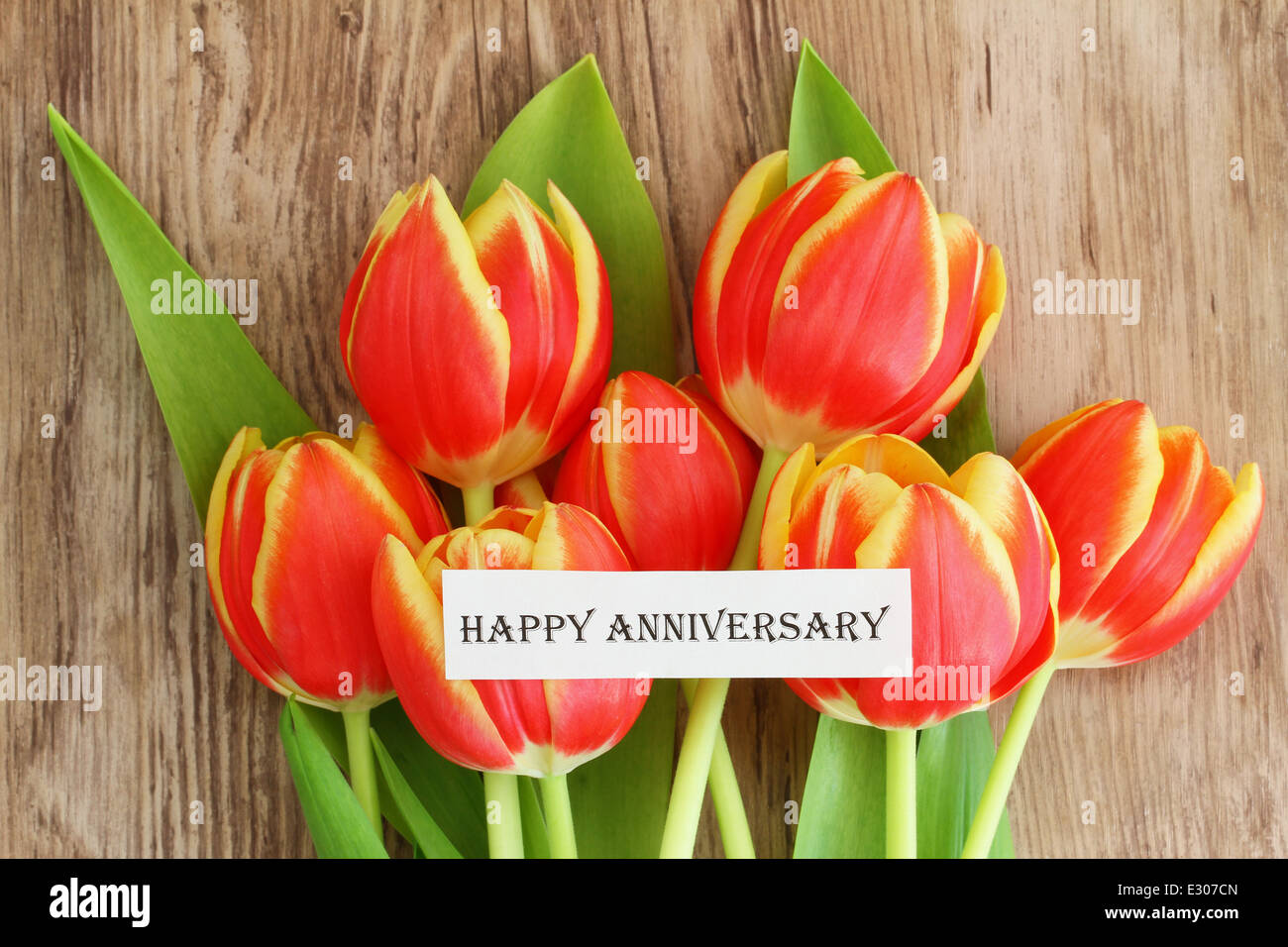 Happy Anniversary card with red and yellow tulips Stock Photo - Alamy