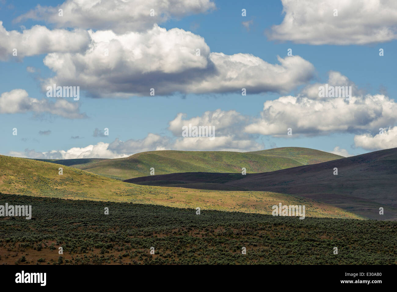 Hills and sagebrush, Eastern Oregon Stock Photo Alamy