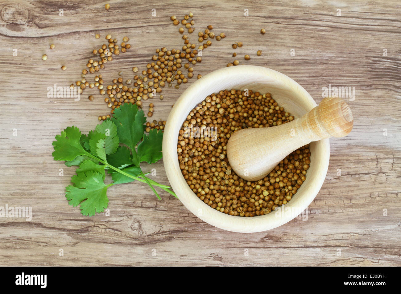 Coriander seeds in mortar and fresh coriander leaves Stock Photo