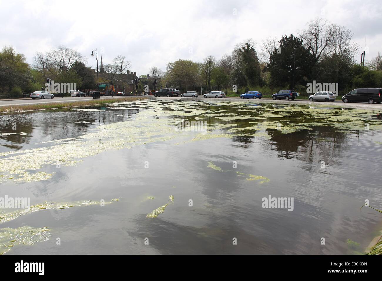 The recent hot weather has resulted in a massive increase in algae