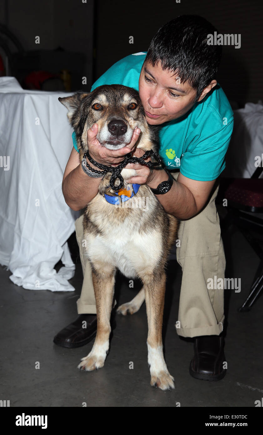 The Animal Foundation's 'Best In Show' 10th Anniversary, presented by