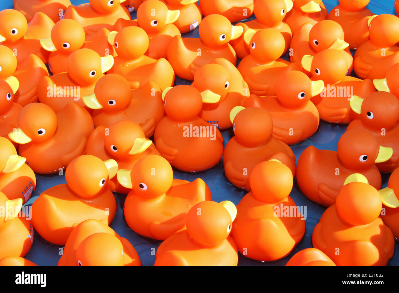 Rubber Duckies. Stock Photo