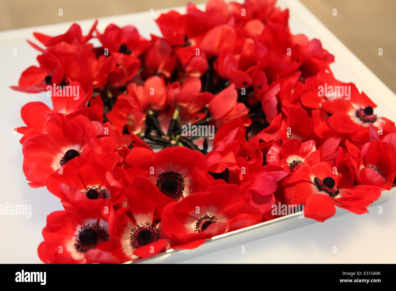 The Headstrong Project first ever 'Words of War' event at the IAC