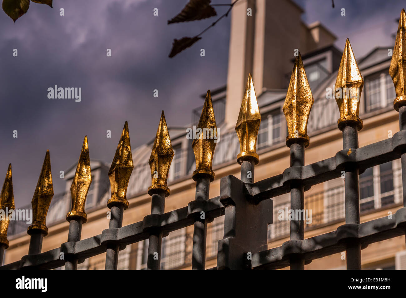 A gold tipped iron fence fence close up in Paris France Stock Photo Alamy