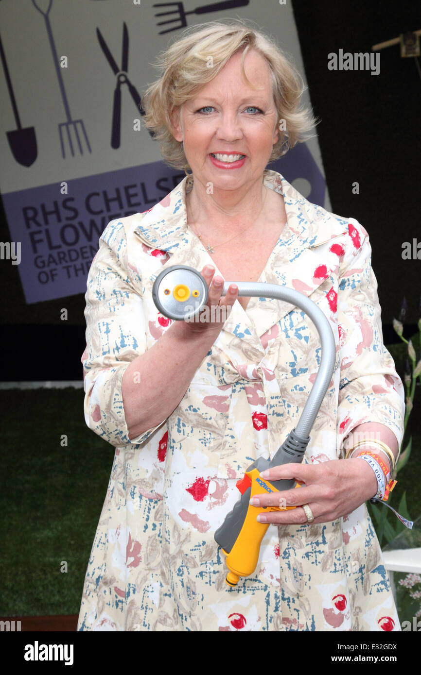 Deborah meaden 2013 hi-res stock photography and images - Alamy
