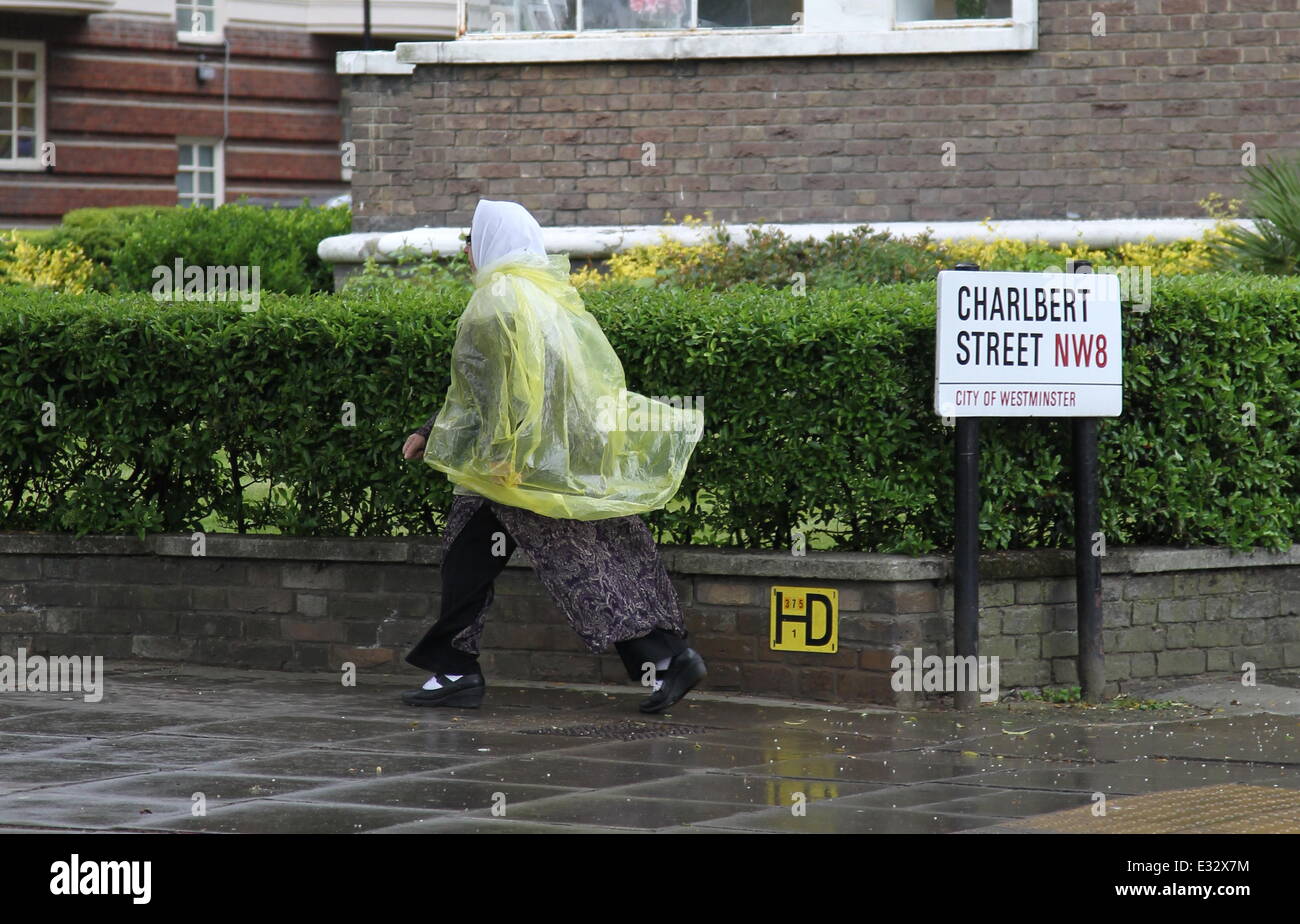 Views of Regent's Park in London during Friday's extremely wet weather