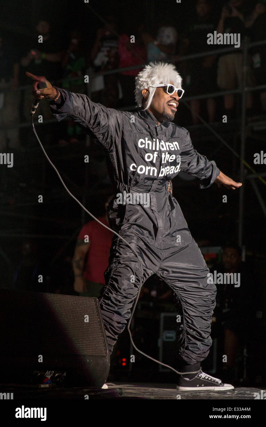 Dover, Delaware, USA. 21st June, 2014. ANDRE 3000 (aka ANDRE BENJAMIN) of the band Outkast performs live at the 2014 Firefly Music Festival in Dover, Delaware Credit:  Daniel DeSlover/ZUMAPRESS.com/Alamy Live News Stock Photo