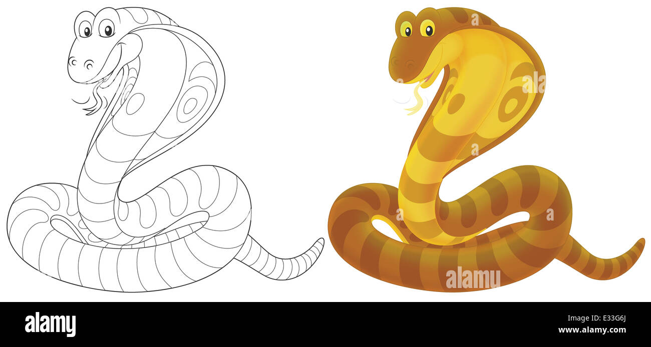 Snake coils Cut Out Stock Images &amp; Pictures - Alamy