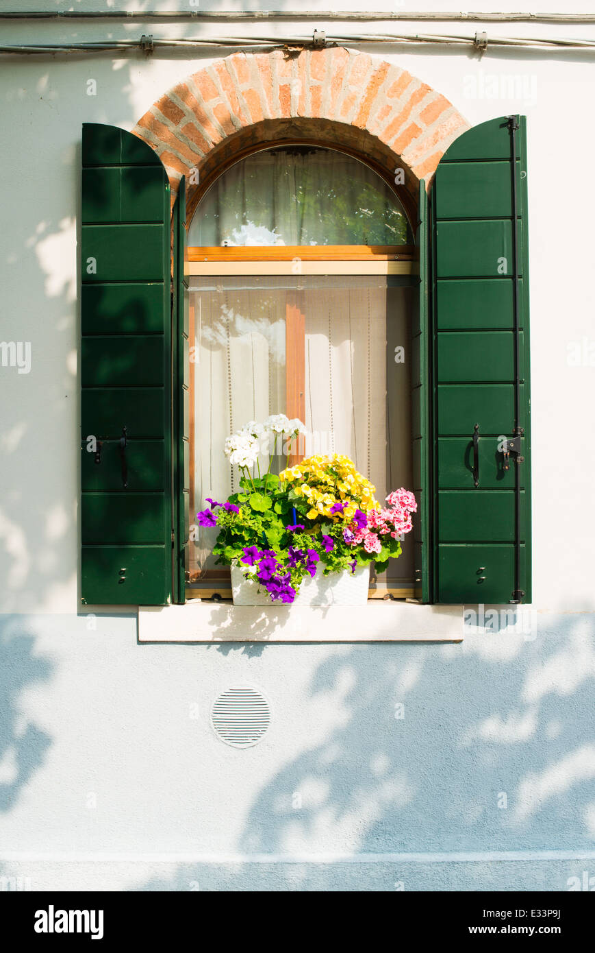 Venetian windows with flowers. Green window on white wall Stock Photo ...