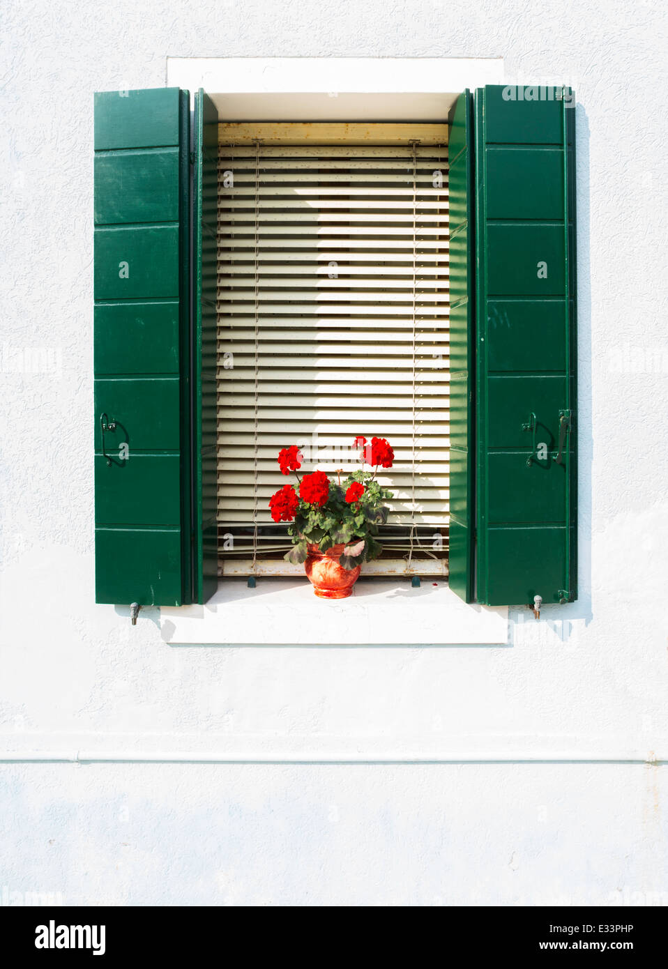 Venetian windows with flowers. Green window on white wall Stock Photo ...