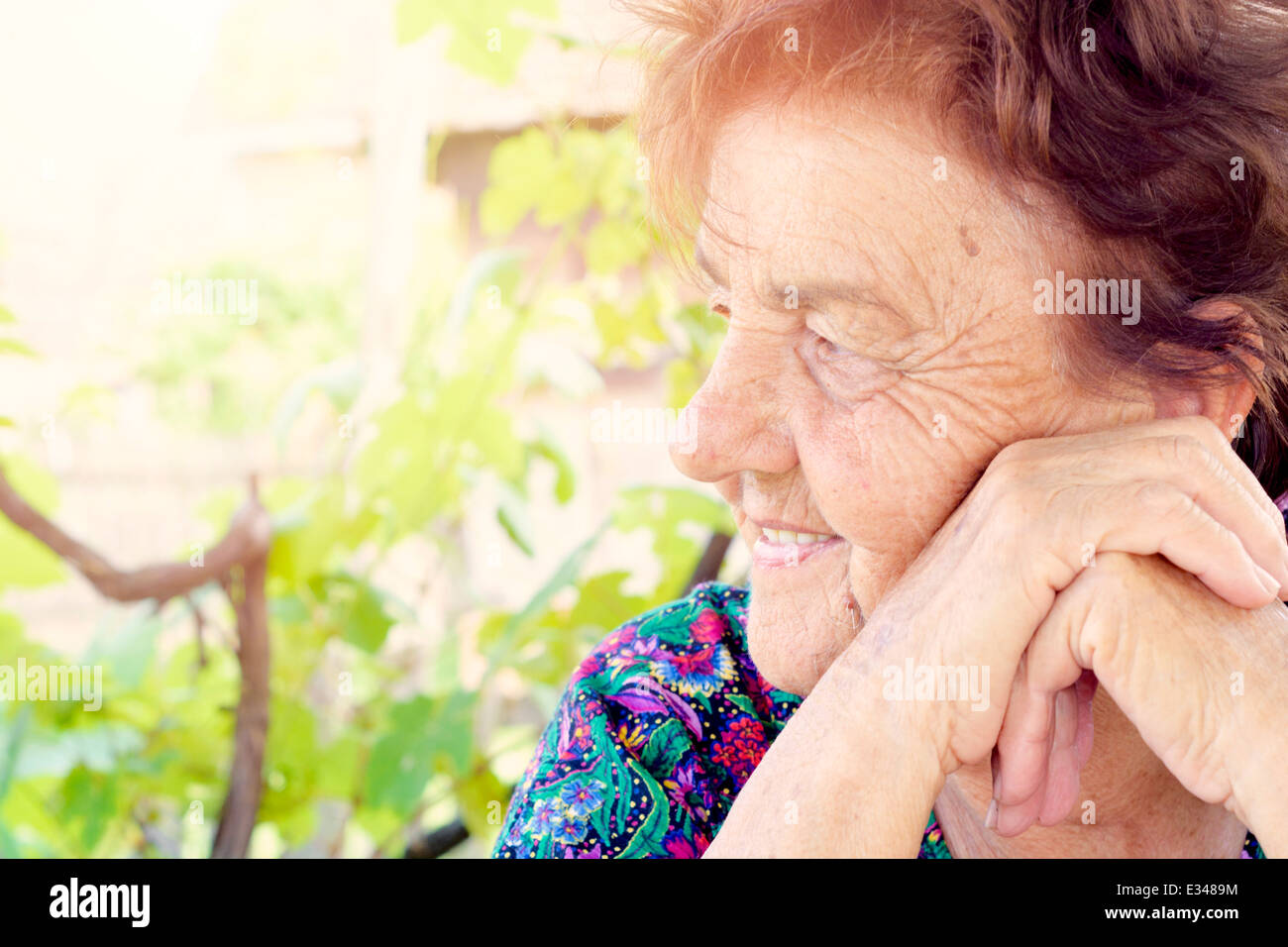 Profile wrinkles wrinkled hi-res stock photography and images - Alamy