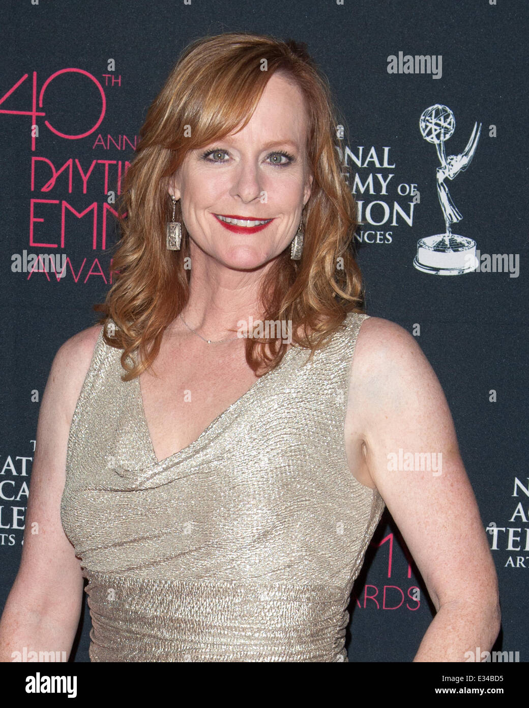 40th Annual Daytime Entertainment Creative Arts Emmy Awards at the Westin Bonaventure  Featuring: Mary McDonough Where: Los Angeles, California, United States When: 14 Jun 2013niel Tanner/WENN.com Stock Photo