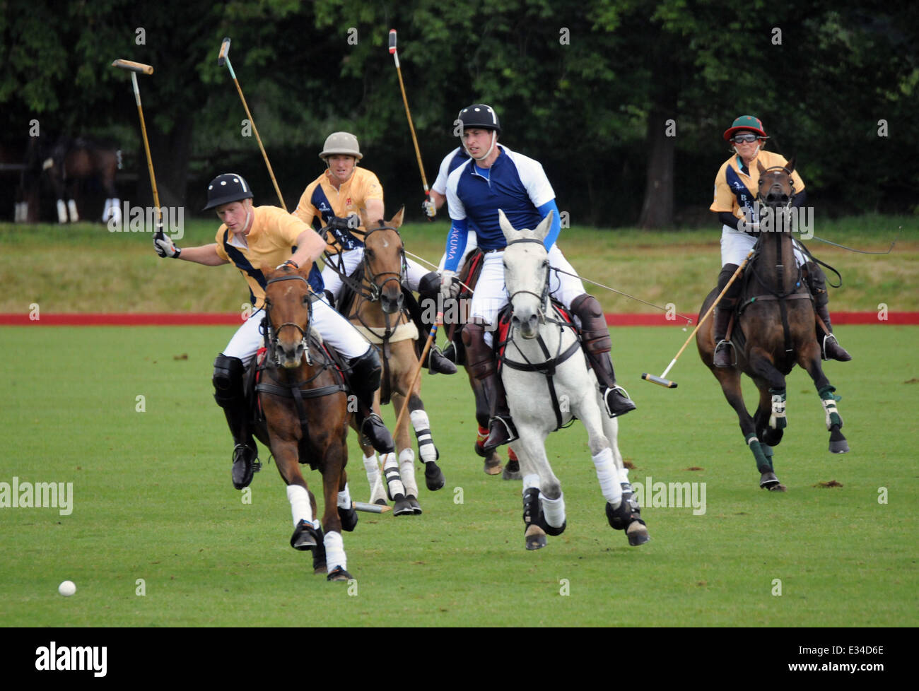 Prince William, Duke of Cambridge and Prince Harry play polo at(00)