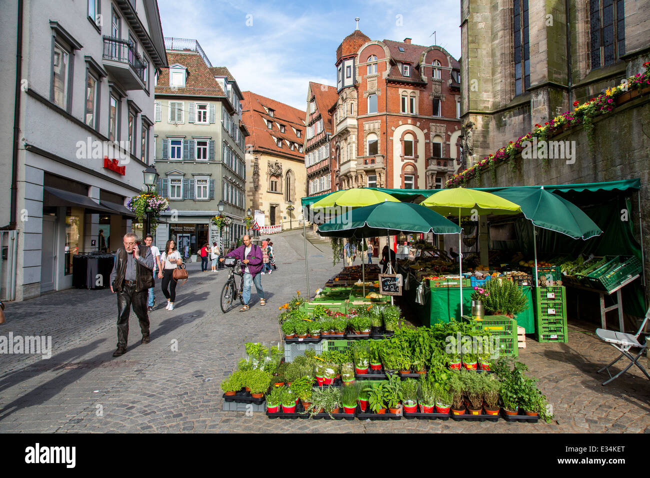 Market stand in the old town of Tübingen, herbs, Stock Photo