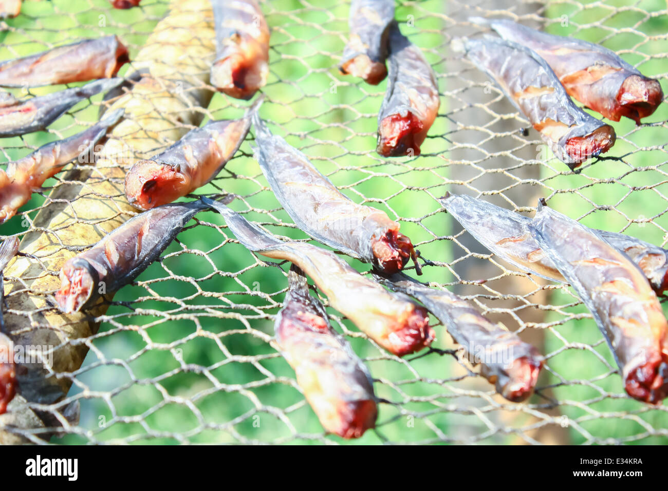 Dried fish Stock Photo Alamy