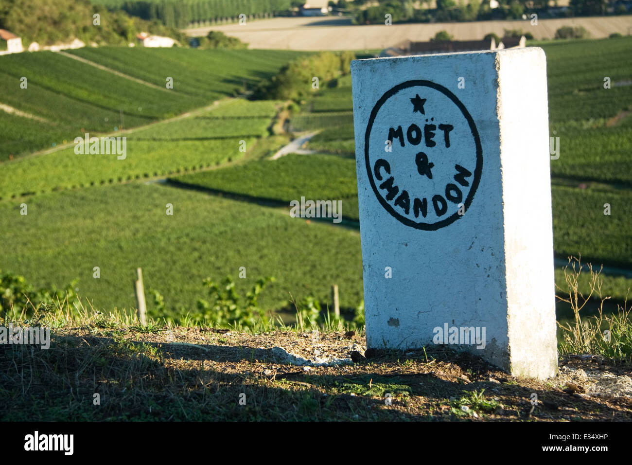 Route de Champagne Epernay Stock Photo