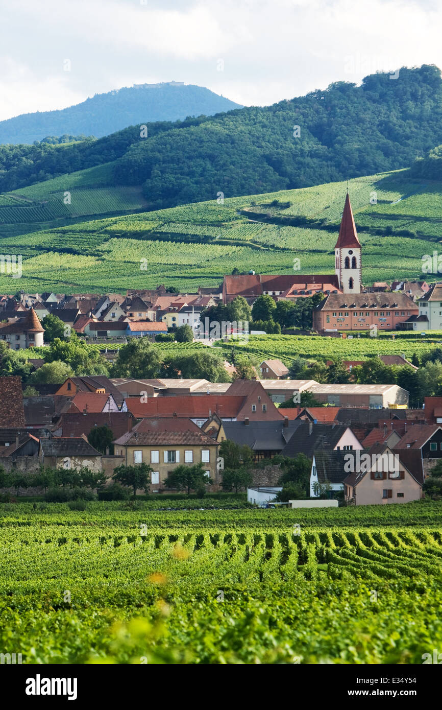 Route du vin hi-res stock photography and images - Alamy