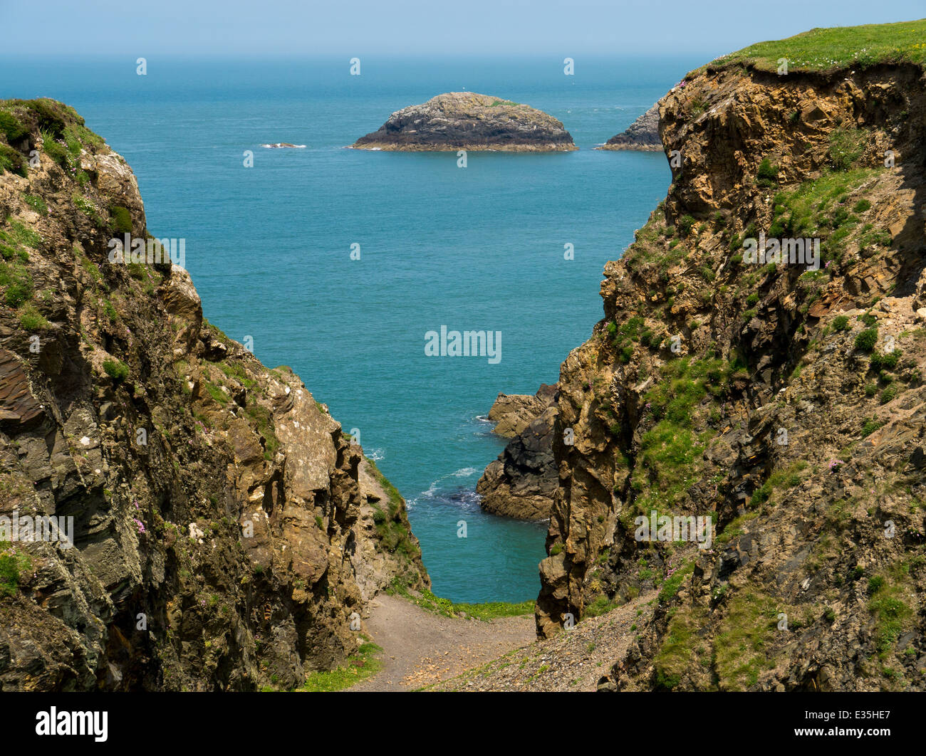 a view of steep clliffs and a small offshore island at Abereiddi, Pembrokeshire Stock Photo