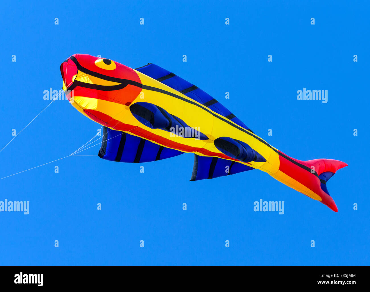 Fish shaped kite flying against cobalt blue Colorado sky Stock Photo