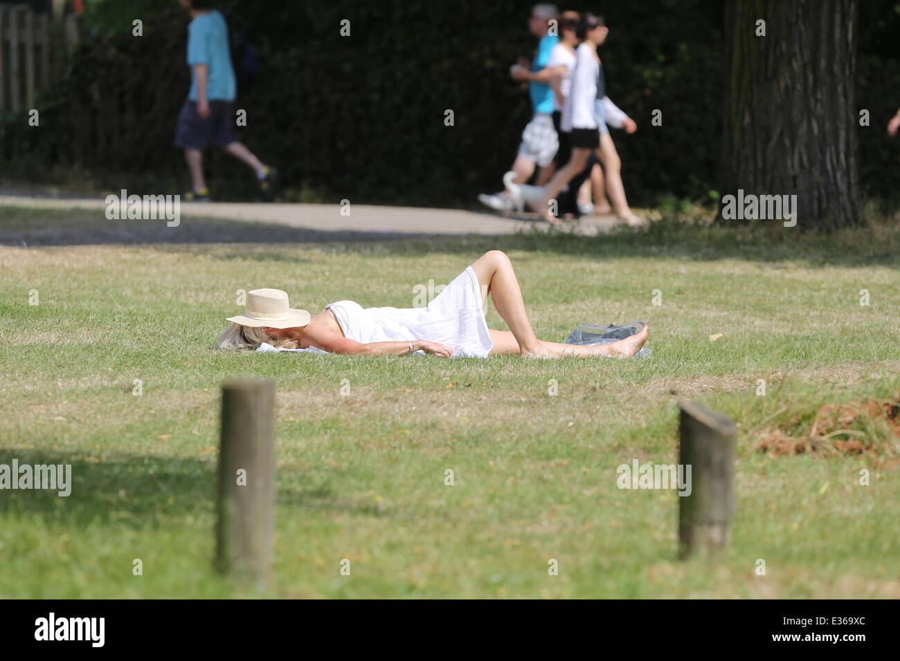 Hot weather on Hampstead Heath and behind Hampstead Theatre. Featuring