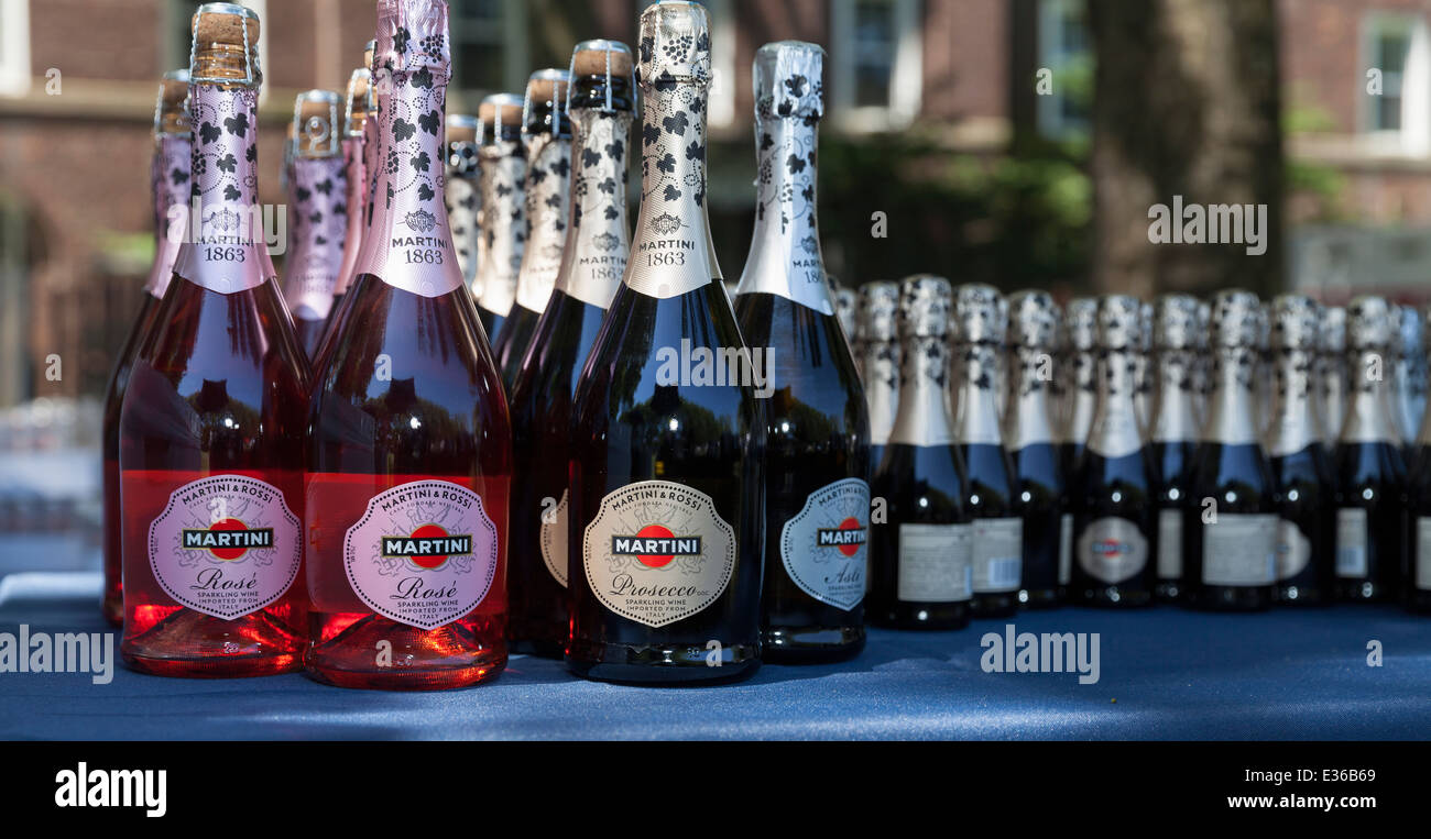 Bottles of Martini sparkling wine from Italy sponsor of Jazz Era Lawn