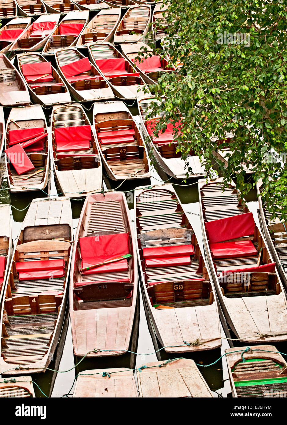 Punts on the River Cherwell near Magdalen Bridge in Oxford; Boote nahe Magdalen Brücke, Oxford Stock Photo