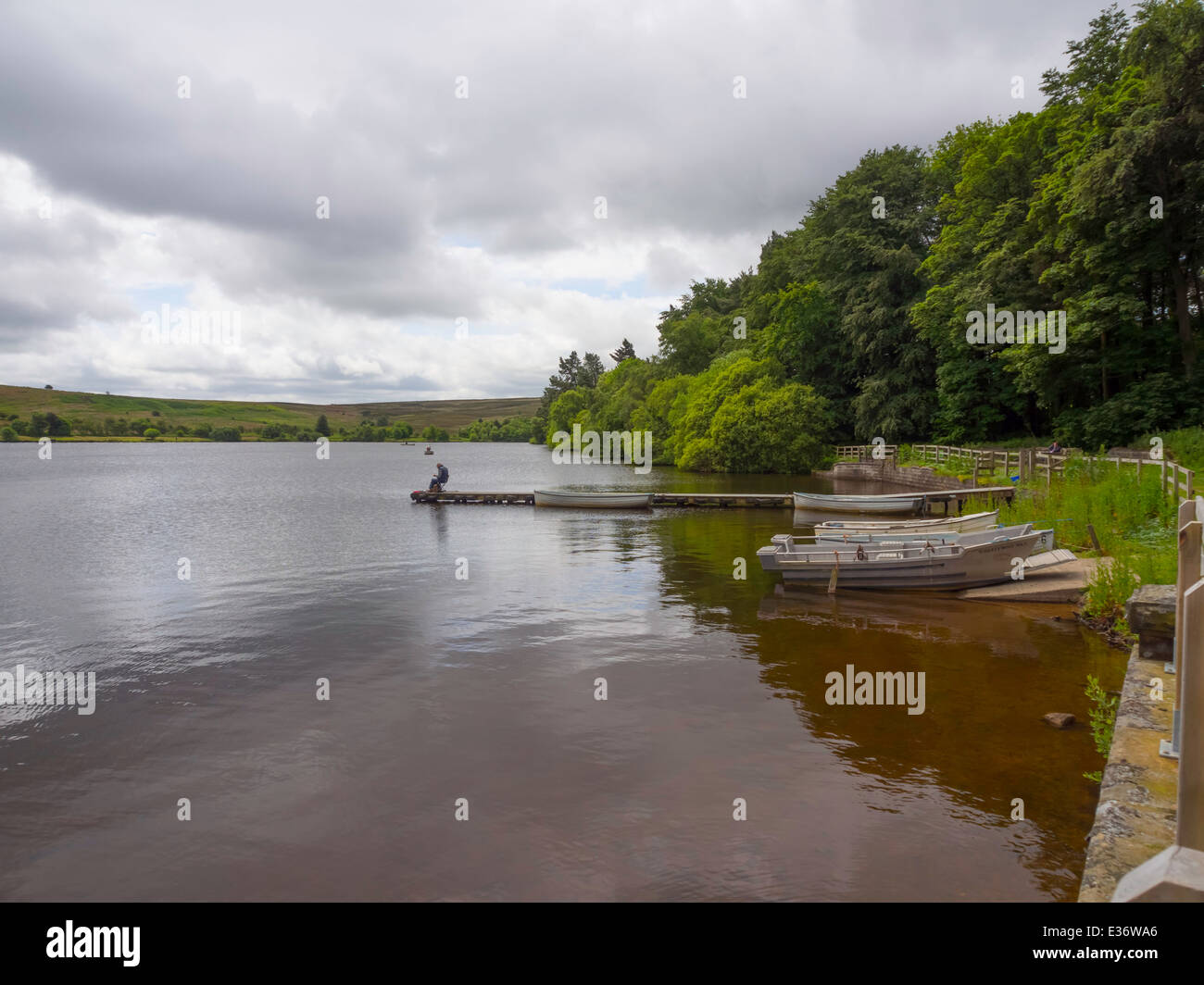 Lockwell England English trout hi-res stock photography and images - Alamy