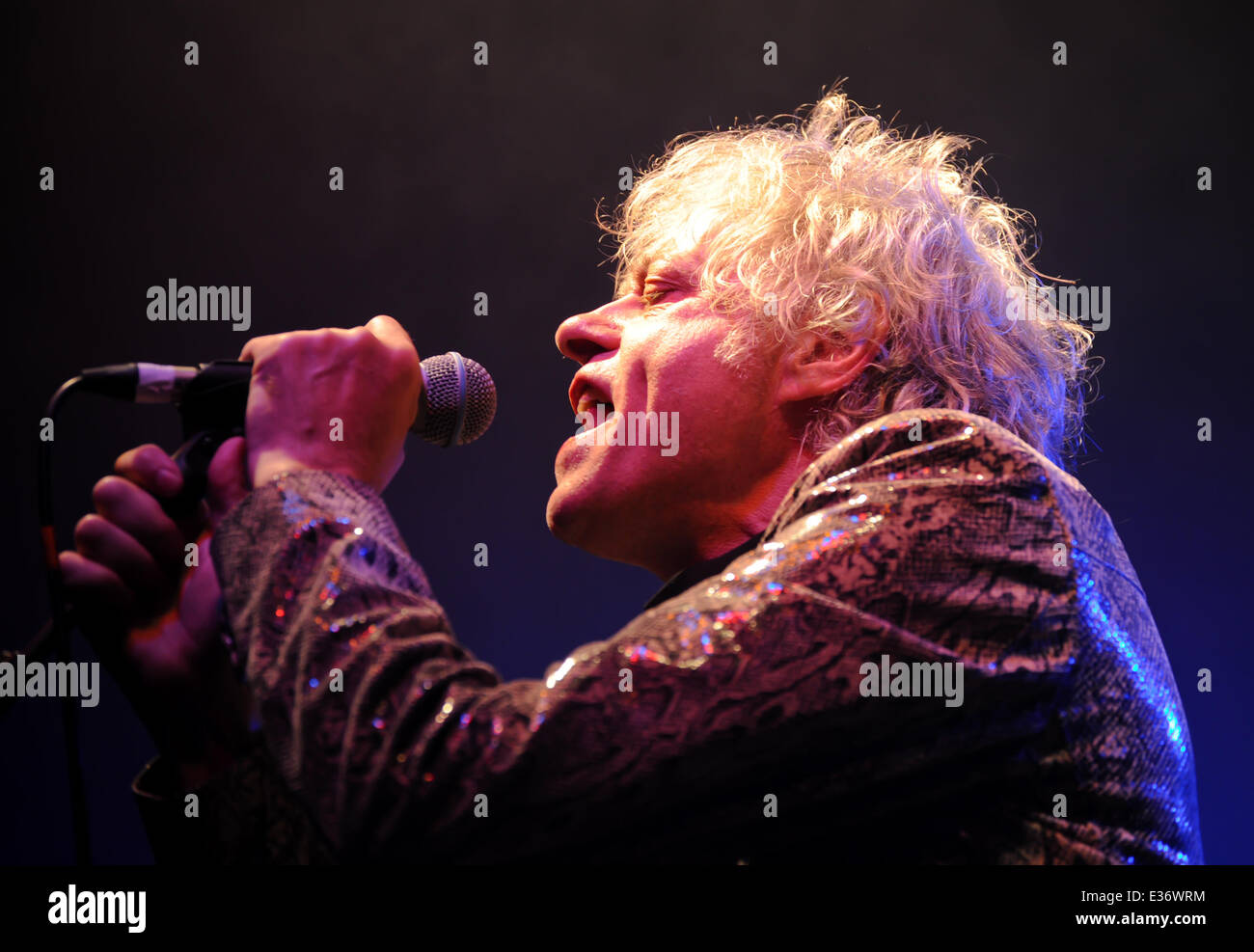 Chagstock Festival - Day 2 - Performances Featuring: The Boomtown Rats ...