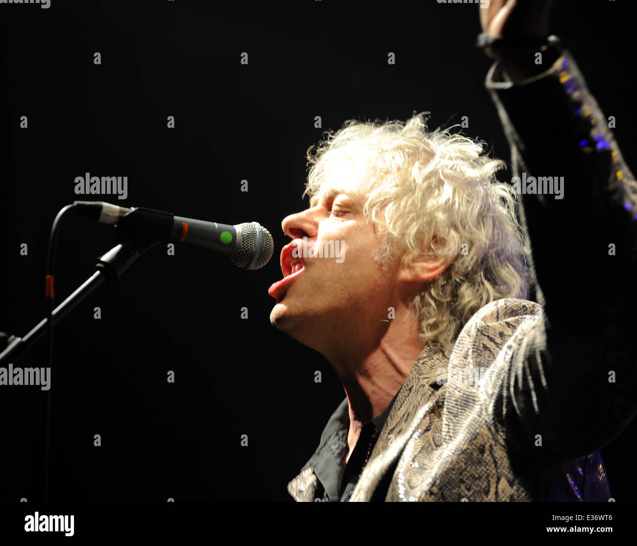 Chagstock Festival - Day 2 - Performances Featuring: The Boomtown Rats ...