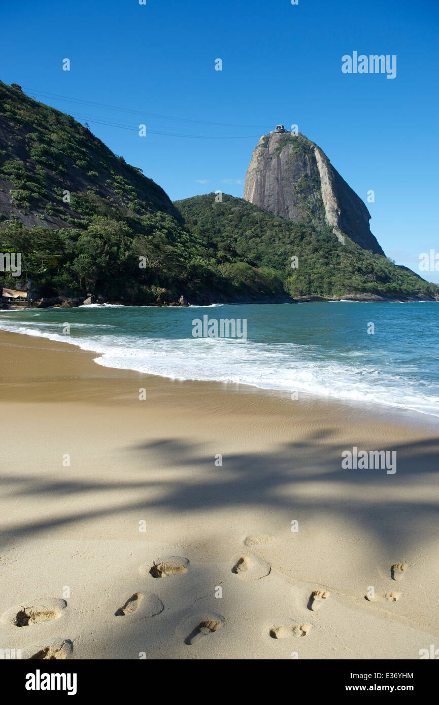 Classic view of Sugarloaf Mountain Pao de Acucar Rio de Janeiro Brazil from Praia Vermelha Red Beach at Urca with shadow of palm Stock Photo