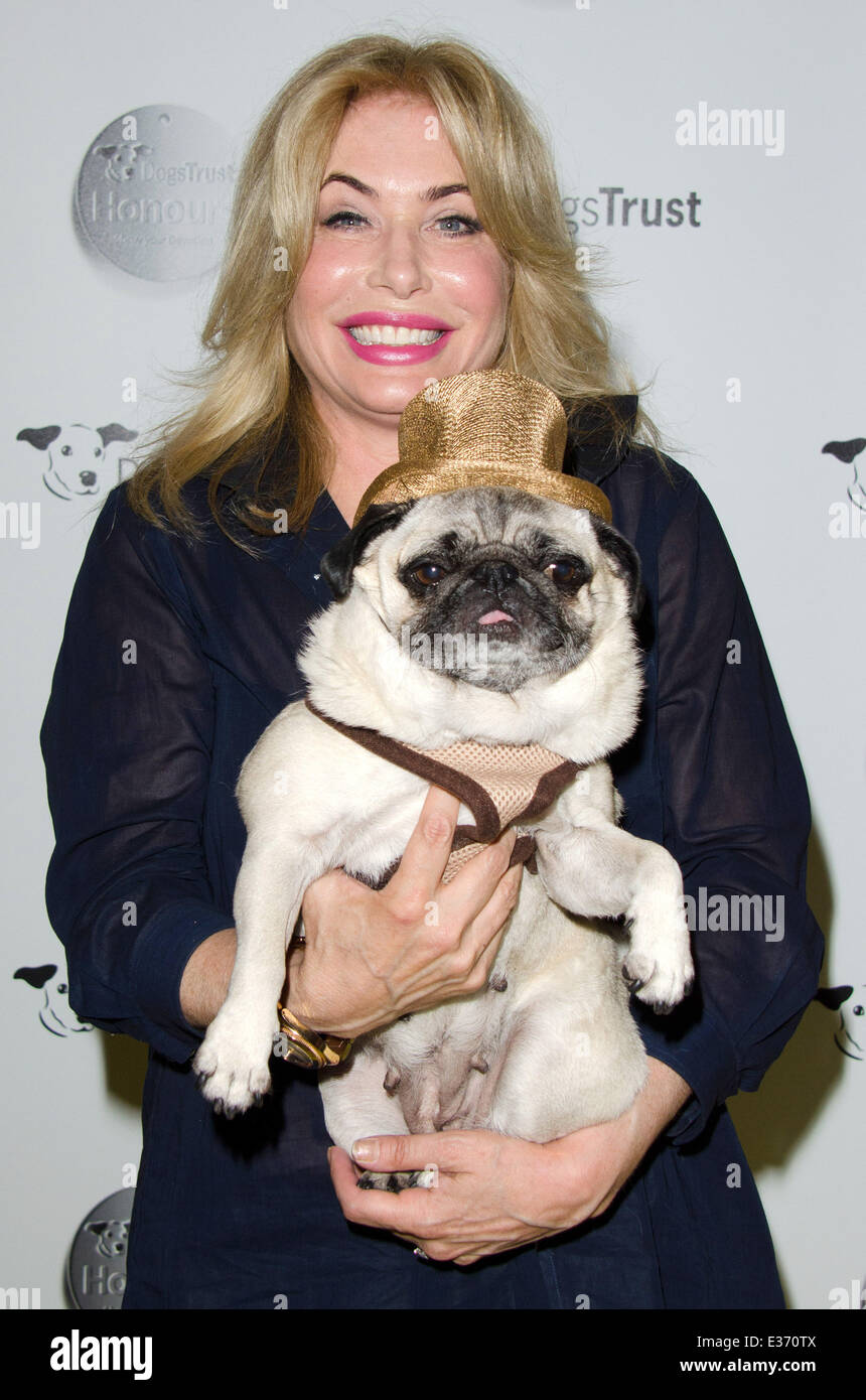 Dogs Trust Honours held at Home House - Arrivals  Featuring: Brix Smith Start Where: London, United Kingdom When: 22 Jul 2013 Stock Photo