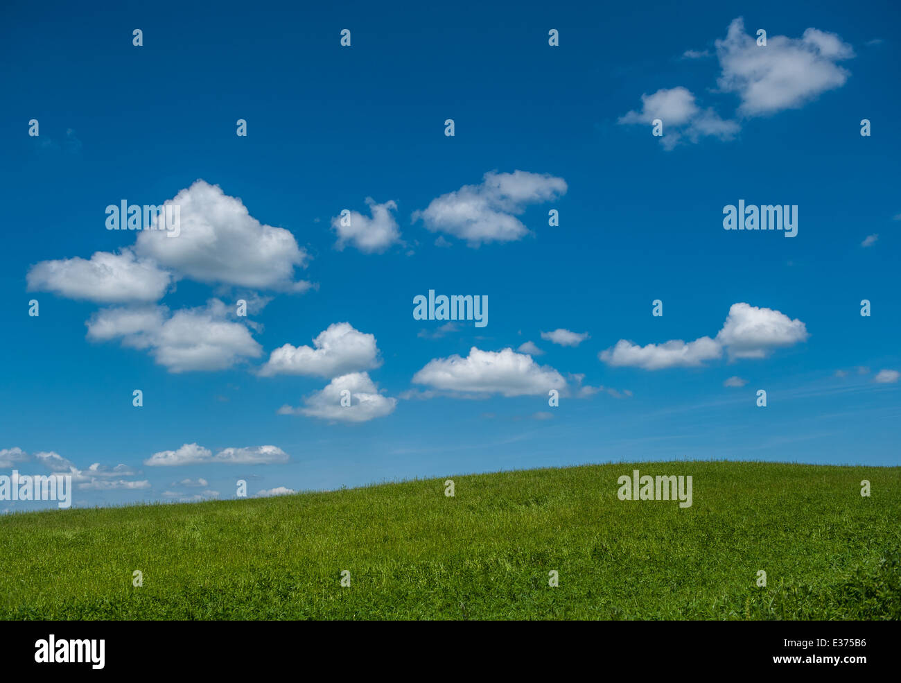 green field and blue cloudy sky background Stock Photo - Alamy