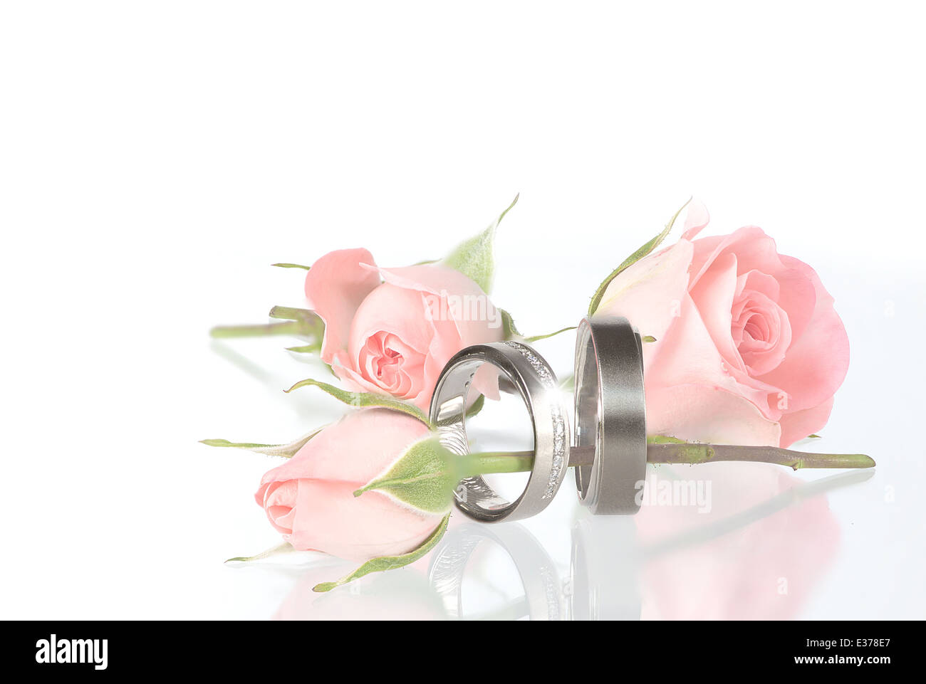 wedding rings on pillow with roses Stock Photo