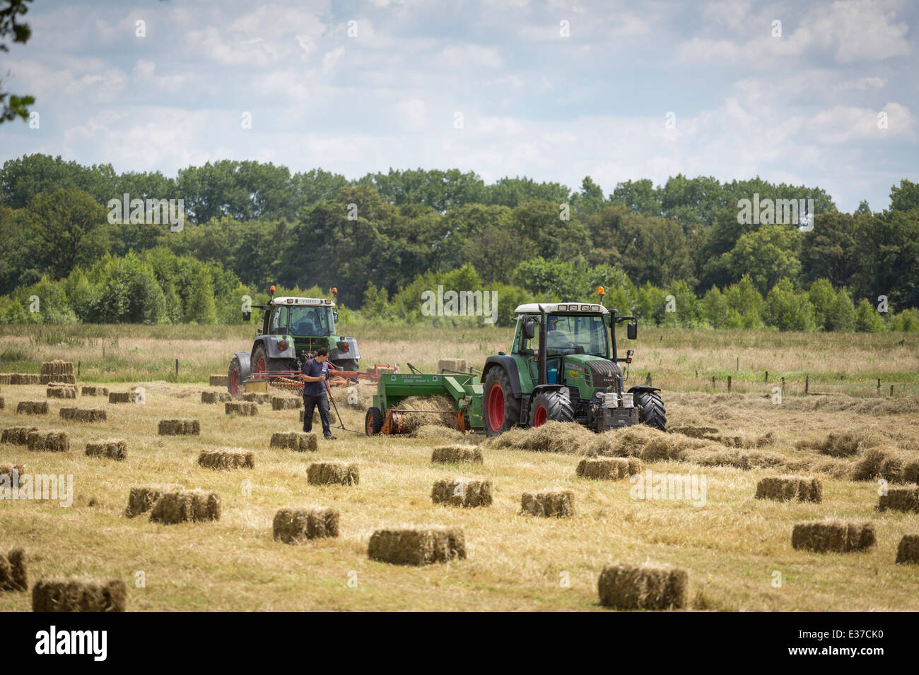 Farmers haying in the neighborhood of Oisterwijk in the Netherlands Stock Photo