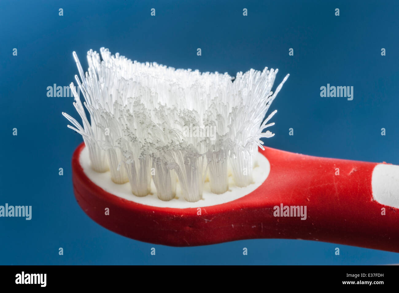 frayed toothbrush