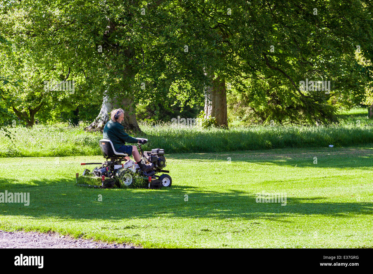 Man mowing the lawn on sit down lawnmower Stock Photo