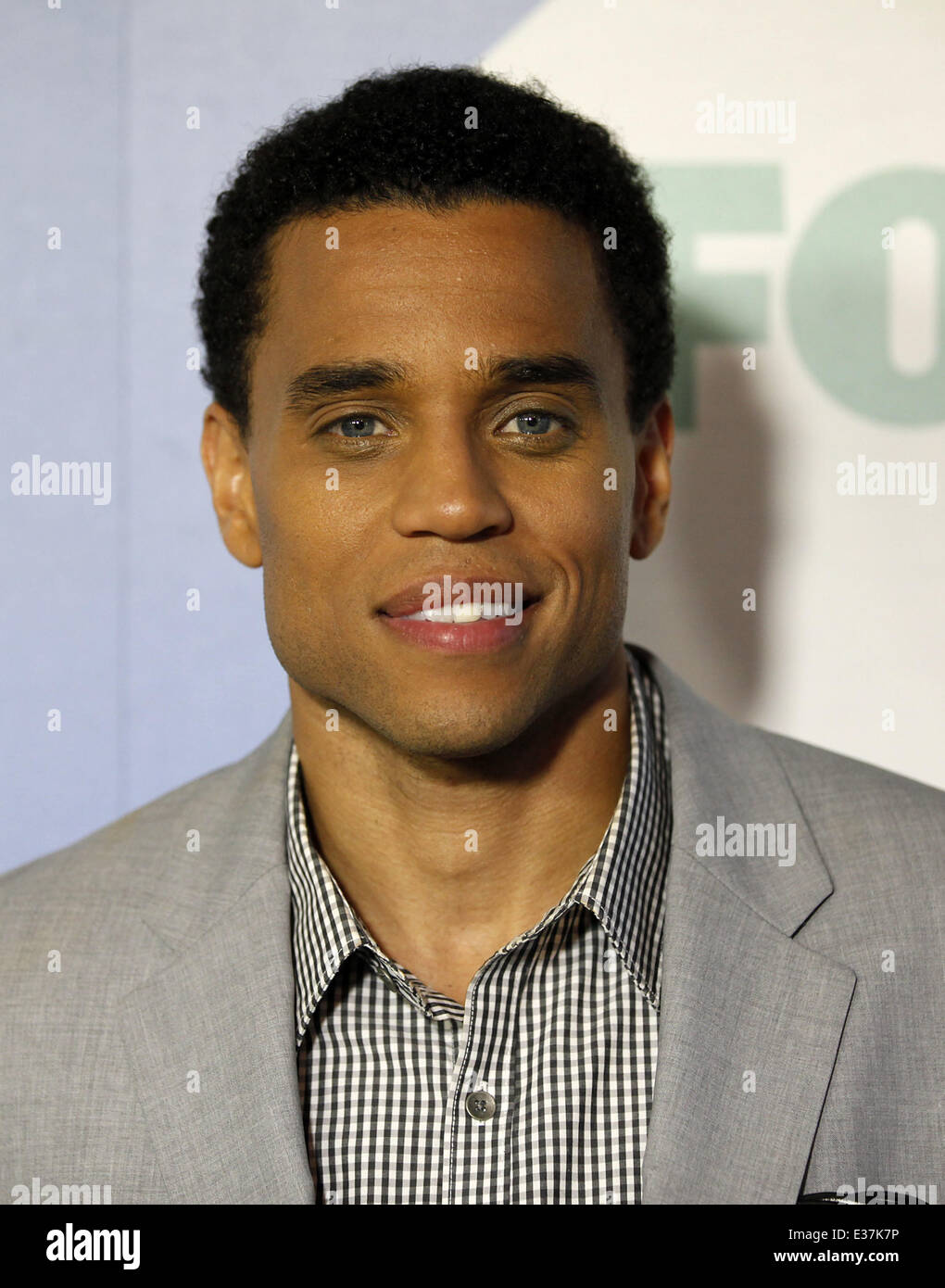 FOX Summer TCA 2013 AllStar Party Arrivals Featuring Michael Ealy