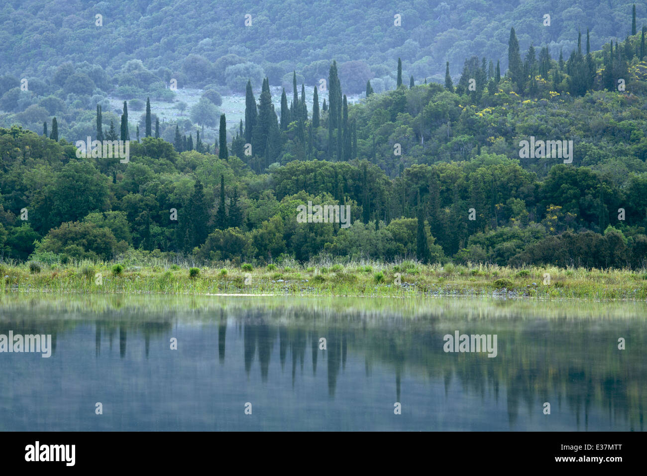 Cypress trees reflect into one of the two lakes at Tzanata, Kefalonia Stock Photo