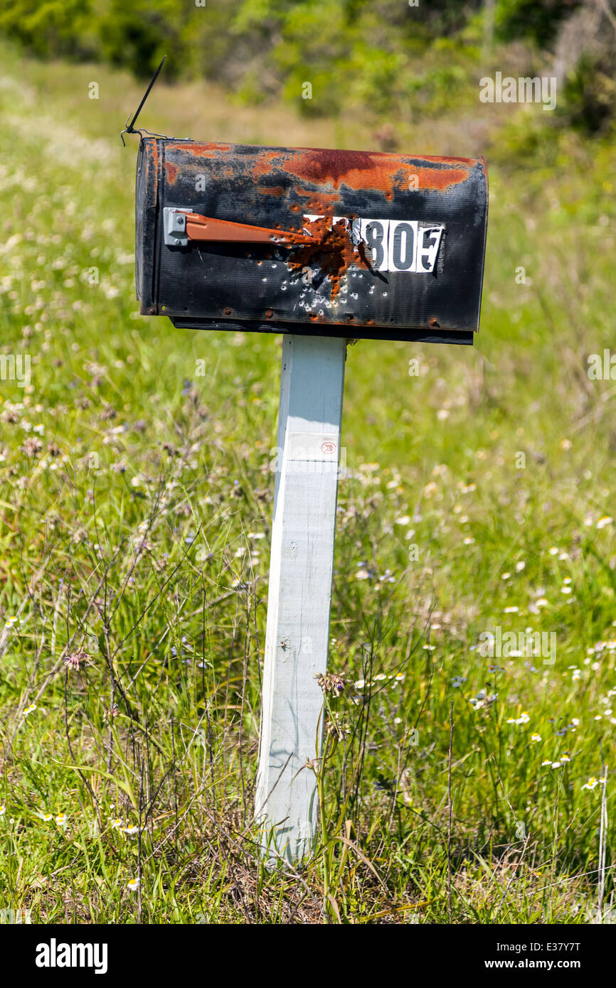 Rusty rural mailbox riddled with bullet holes from a pellet gun. Alachua County, Florida, USA. Stock Photo