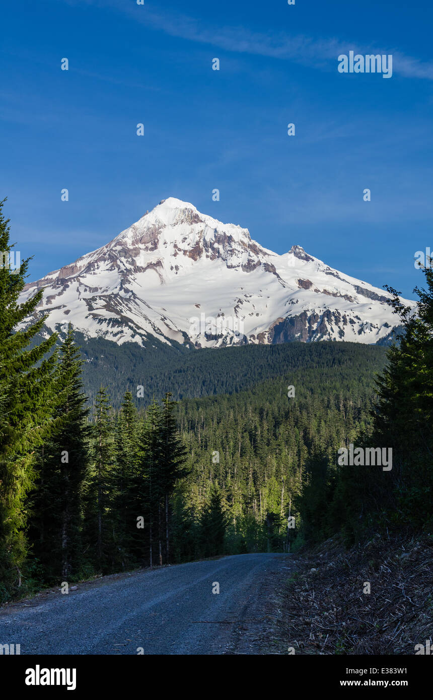 Mt Hood viewed from Lolo Pass. Mt Hood National Forest, Oregon Stock