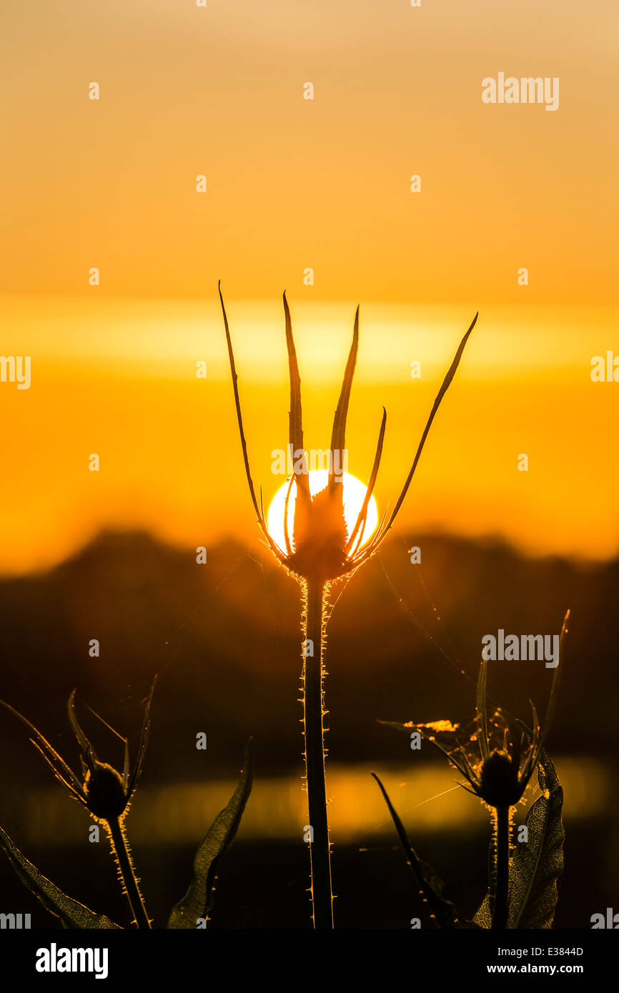 2014 Summer Solstice Sun Rise taken at Cossington Meadows in Leicestershire Stock Photo