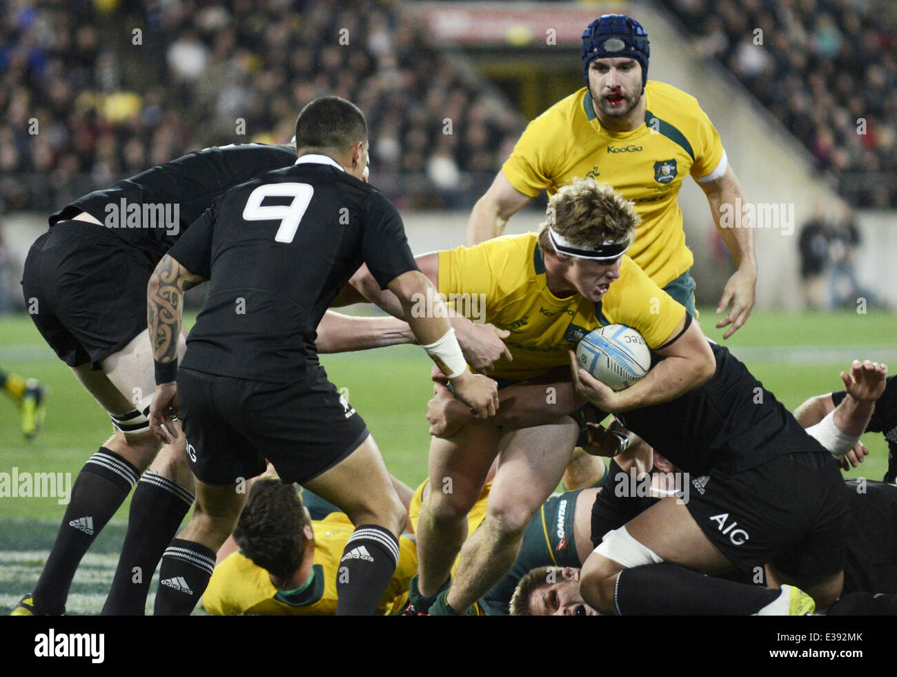 Bledisloe cup hi-res stock photography and images