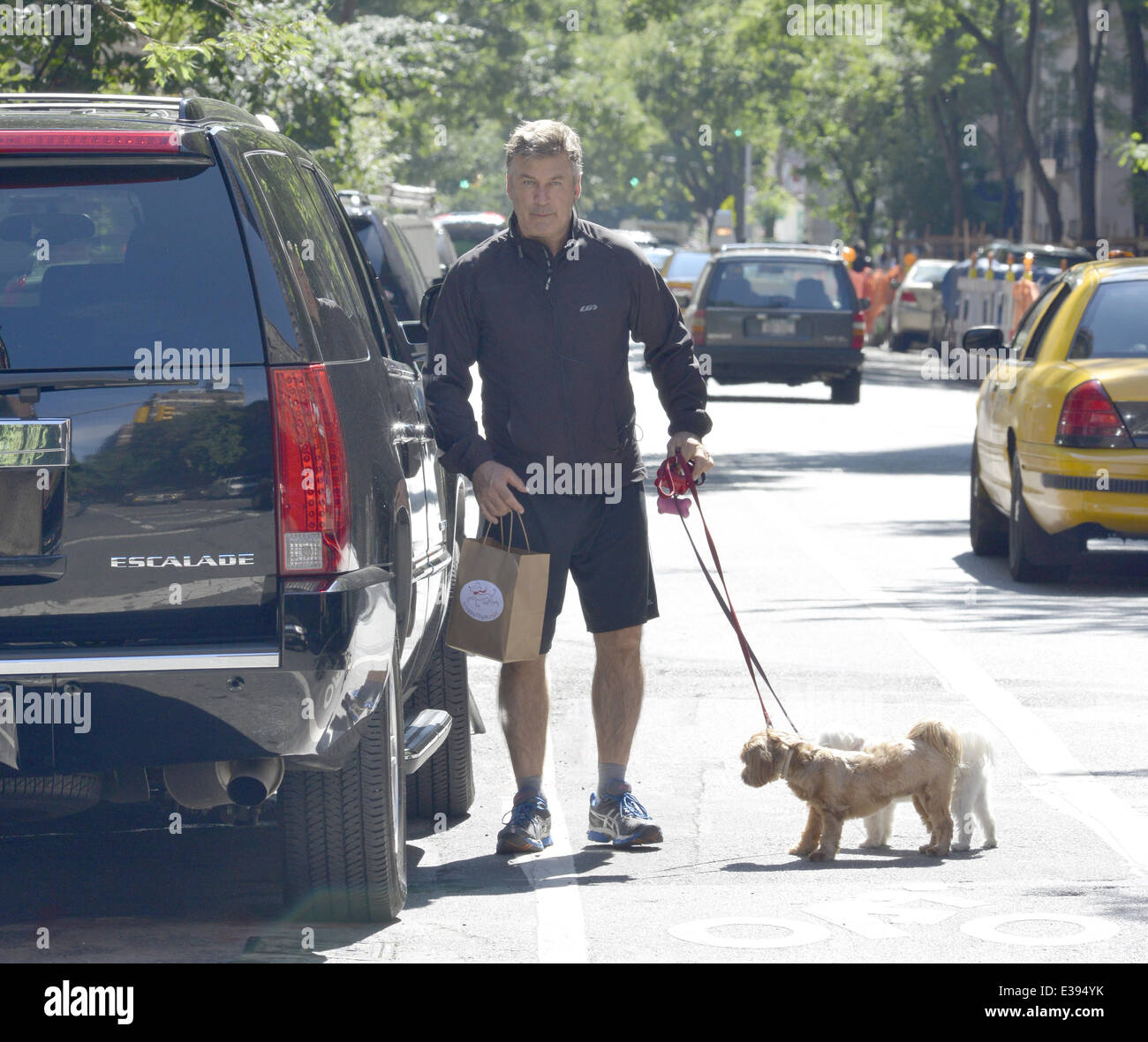 Alec Baldwin spotted out walking his dogs in New York Featuring Alec