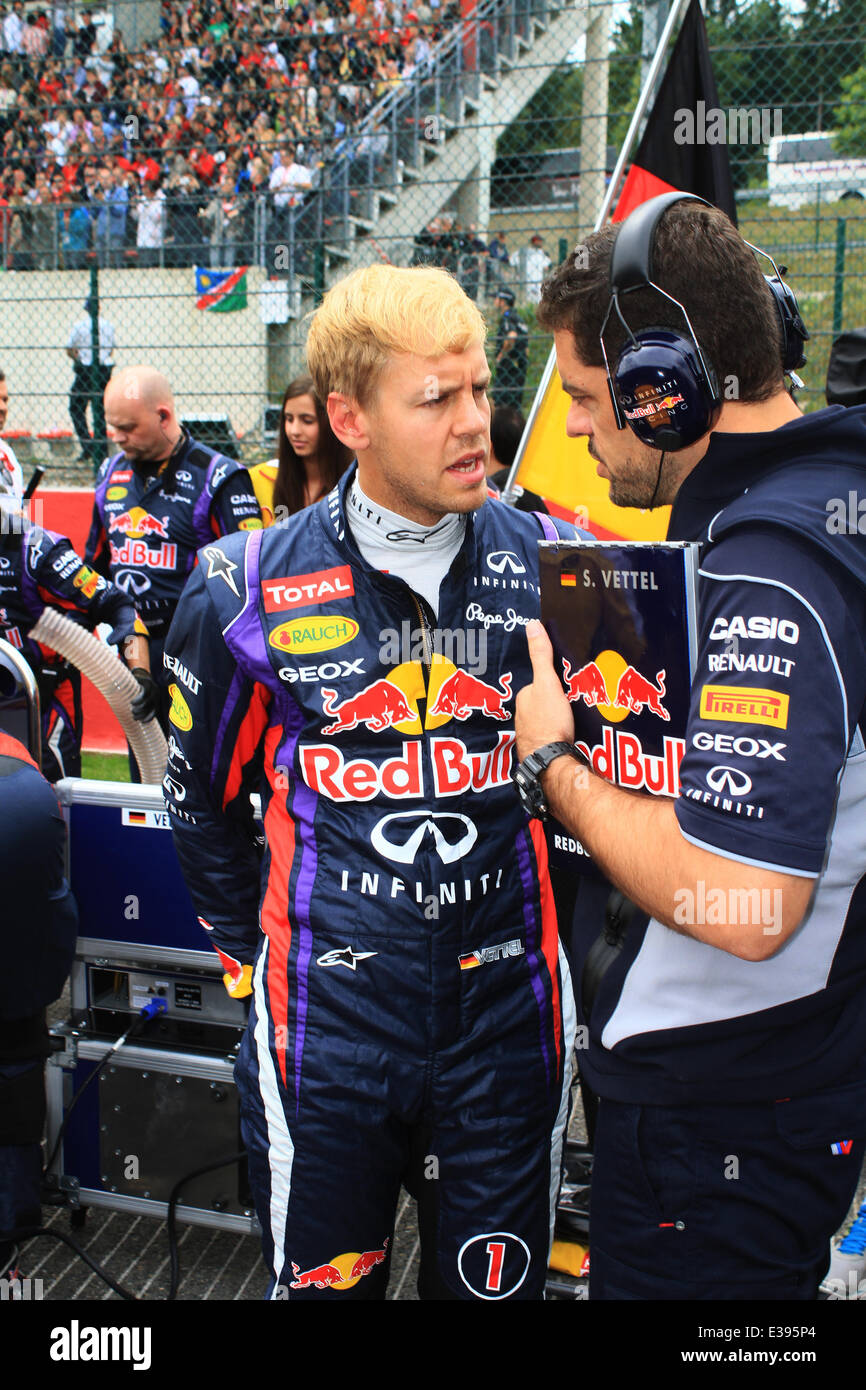 vettel 2013