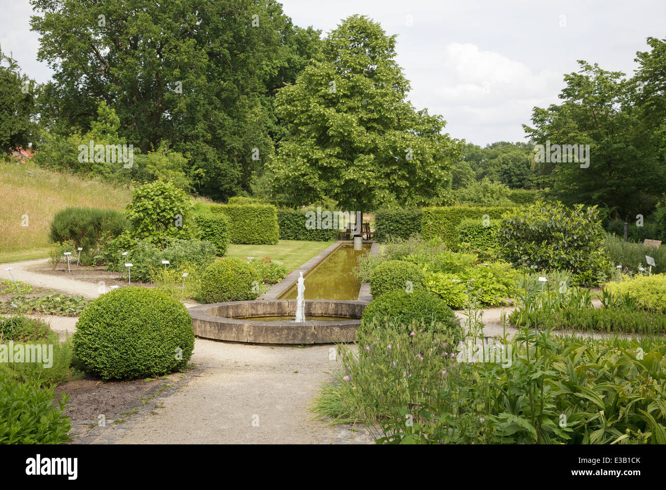 Medicinal Plant Garden , Celle, Lower Saxony, Germany Stock Photo