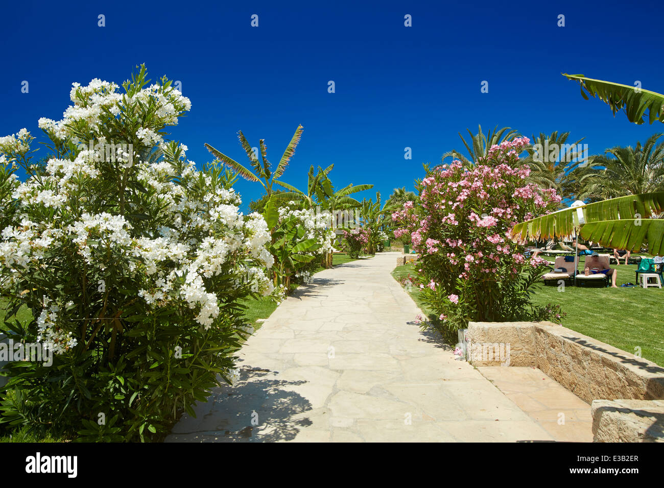 Scenic walk to Pathos Cyprus Stock Photo - Alamy