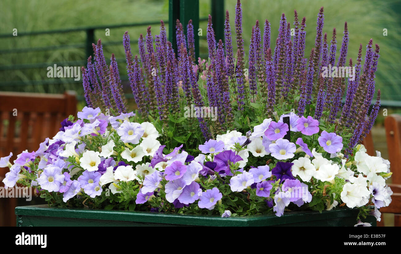 FLOWER DISPLAYS THE WIMBLEDON CHAMPIONSHIPS 20 THE ALL ENGLAND TENNIS CLUB WIMBLEDON LONDON ENGLAND 22 June 2014 Stock Photo