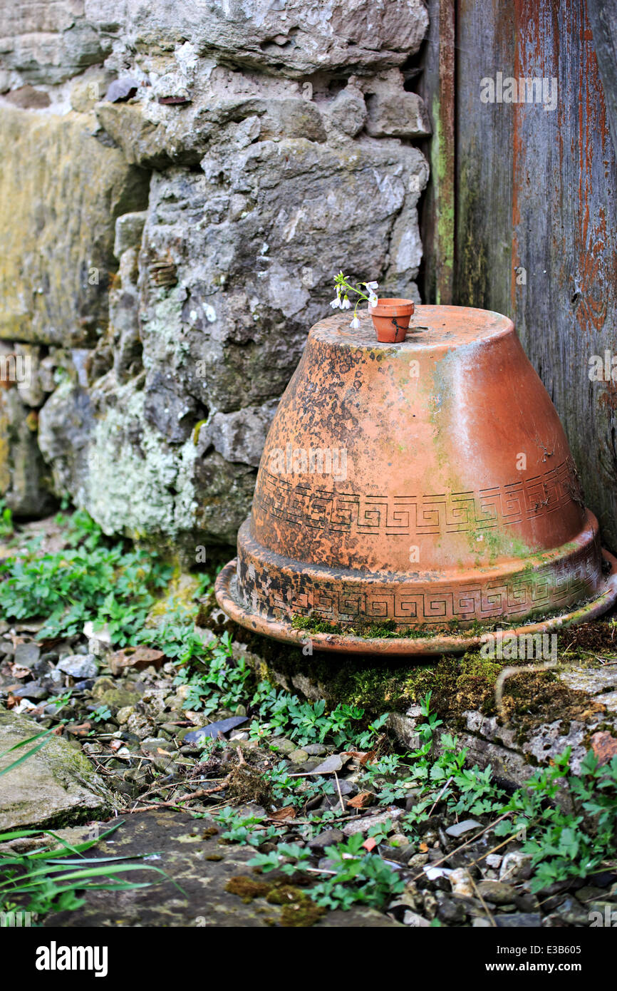 Growth in springtime hi-res stock photography and images - Alamy