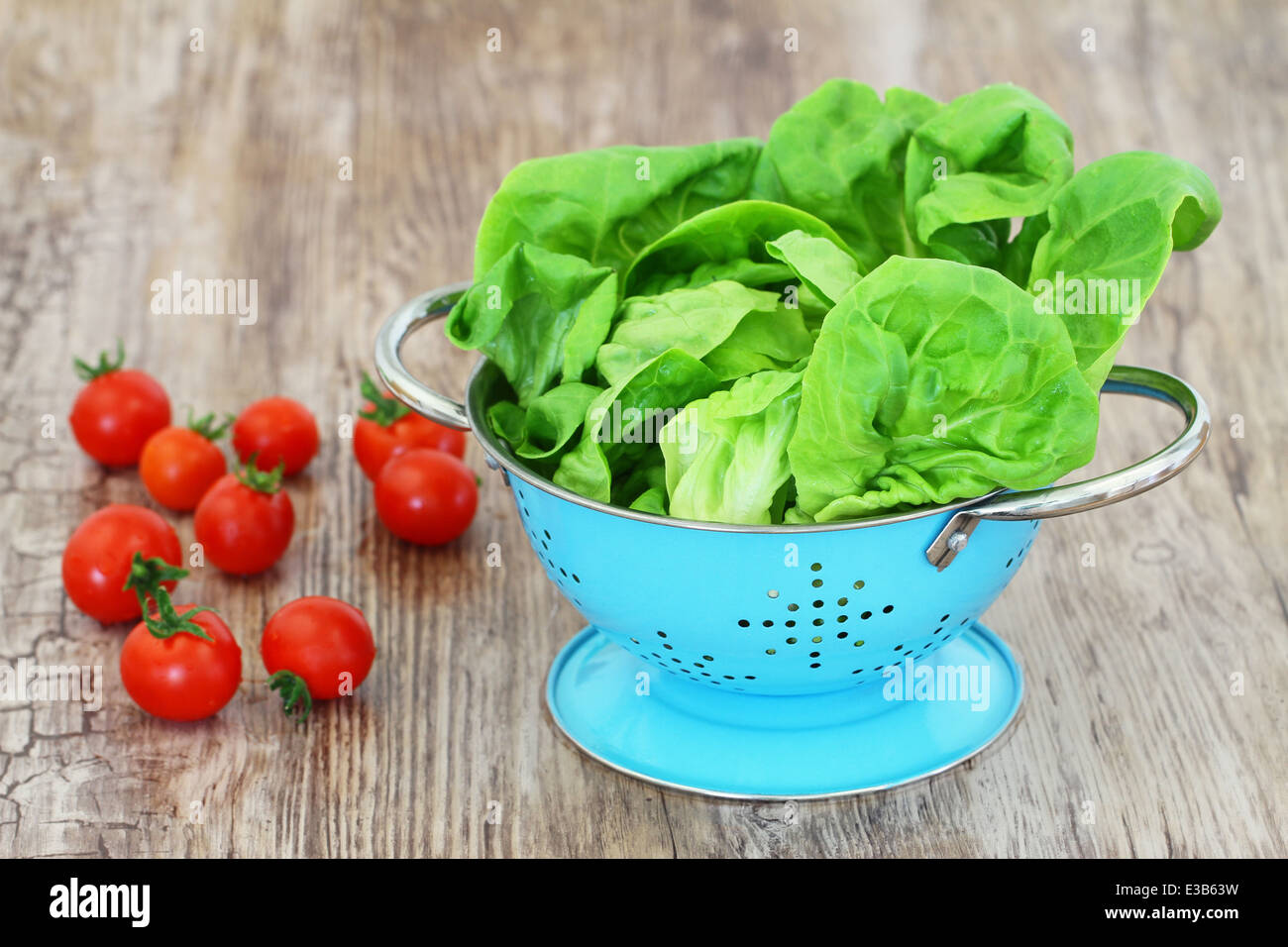 Green lettuce leaves in blue colander and cherry tomatoes Stock Photo
